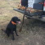 Profile Picture of Larry Pelkey (@larry.pelkey.7) on Instagram