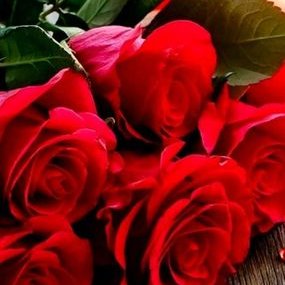 Profile Picture of Nafeesa Abdullah (@NafeesaAbdulla6) on Twitter