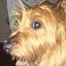 Profile Picture of Ronnie Eugene Laurent (@ronnie.laurent.39) on Facebook