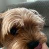 Profile Picture of Marie Bradley (@@mariebradley02) on Tiktok