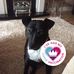 Profile Picture of Leeann Jones (@leeann.jones.182) on Facebook