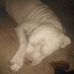 Profile Picture of Ryan Schuster (@ryan.schuster.359) on Facebook
