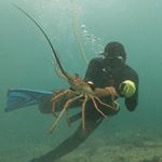 Profile Picture of Marcus Jacksoon (@nappi_marc) on Instagram