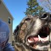 Profile Picture of Joe Pappas (@@pappas.joe) on Tiktok