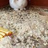Profile Picture of sharonwstapletona (@@sharonwstapletona53) on Tiktok