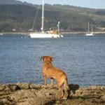 Profile Picture of Sean McNelis (@seanymac56) on Instagram