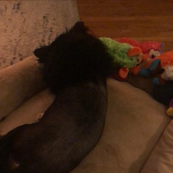 Profile Picture of Jen Ventrone (@jenventrone) on Poshmark