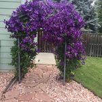 Profile Picture of Debbie Petersen Kepler (@debbiekepler) on Instagram