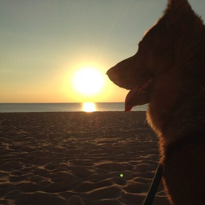 Profile Picture of Luis Alvaro Alba (@luisalvaro212) on Twitter