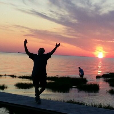Profile Picture of Paul Hollander (@Hollander1P) on Twitter