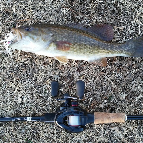 Profile Picture of Eric Xiong (@exiong841) on Poshmark