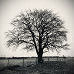 Profile Picture of Luke()lovett 🏑 (@luke_lovett123_) on Instagram