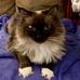 Profile Picture of Lisa Cozart (Lisa Owings Cozart) (@lisa.cozart.1) on Facebook