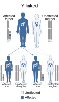 Profile Picture of Y-linked deafness, type 1on Wikipedia