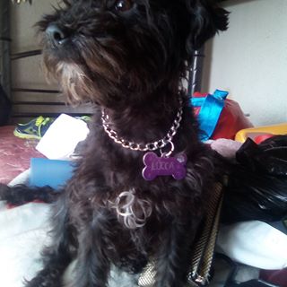 Profile Picture of Mariana Alpizar (@mariana.alpizar.71) on Facebook