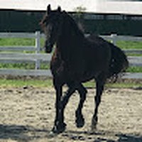 Danika James - Quora Profile Picture of Danika James (@danika-james-6) on Quora