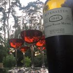 Pierre-Nelson Ouvrard - Instagram Profile Picture of Pierre-Nelson Ouvrard (@piernel) on Instagram