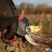 Profile Picture of George Sebastian (@george.sebastian.796774) on Facebook