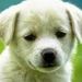 Profile Picture of selena ledesma (@selenaledesma25) on Pinterest