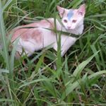 Profile Picture of simontobing_48 (@simontobing_48) on Instagram