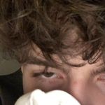 Profile Picture of nicolas 💀 (@nicolas_zielinski) on Instagram