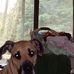 Profile Picture of Doyle Schmidt (@doyle.schmidt.5) on Facebook
