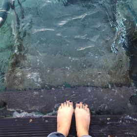 Profile Picture of Ariel Meredith (@woodysea) on Pinterest