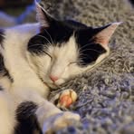 Profile Picture of Daren Scott (@daren.scott.77) on Facebook