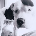 Profile Picture of George Ziegler (@george.ziegler.129) on Instagram