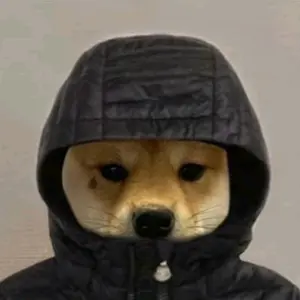 Profile Picture of 𝓢𝓱𝓲𝓽 (@glueklicher) on Tiktok