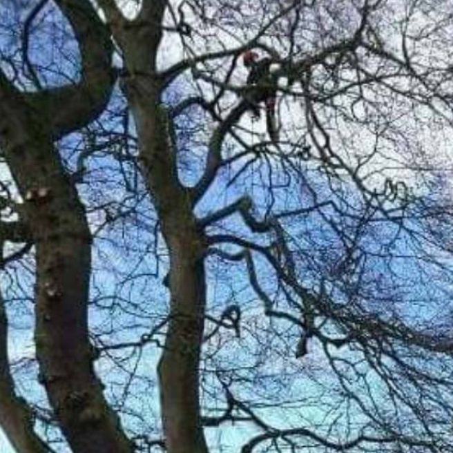 Profile Picture of Steven gates (@steven.gates40) on Tiktok