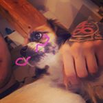 Profile Picture of David (@reichl.david) on Instagram
