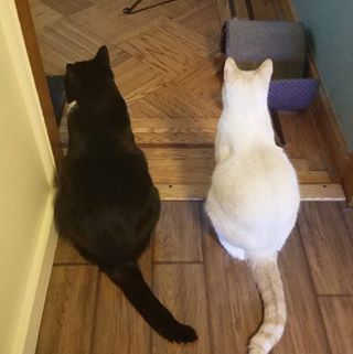 Profile Picture of Thomas McLaughlin (@loki1722) on Facebook