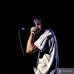 Profile Picture of Zachary Ross (@gorphic) on Instagram