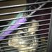 Profile Picture of RJ Daugherty (@RJ-Daugherty) on Facebook