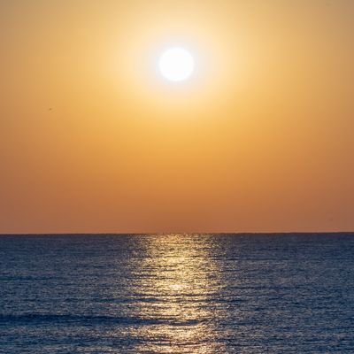Profile Picture of Rurik Örtendahl (@rurik_ortendahl) on Twitter