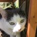 Profile Picture of Dayna Roy-Sweeney (@roy6509) on Pinterest