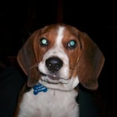 Profile Picture of Richard VanDenburgh (@WHODAT340) on Twitter