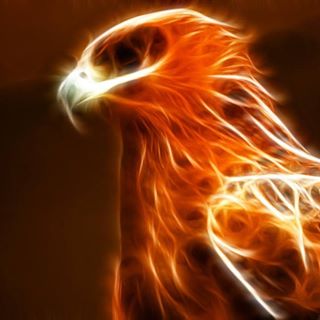 Profile Picture of Jeffrey Funk (@jeffrey.funk.16) on Facebook