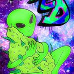 Profile Picture of Noel Graham (@bashaffordable) on Instagram