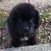Profile Picture of Bryan J Lederman (@bryanjlederman) on Pinterest