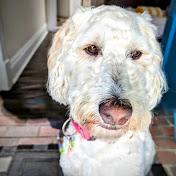 Profile Picture of Corrie Wright (@corriewright987) on Youtube