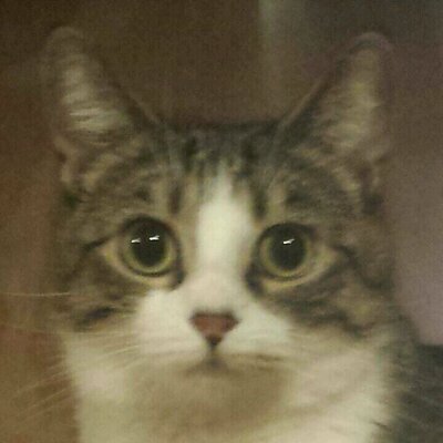 Profile Picture of Nick Barnhill (@nbarnhill11) on Twitter