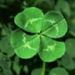 Profile Picture of Jan Chadbourne (@janchadbourne) on Pinterest