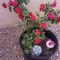 Profile Picture of Karen Yoder (@Karen-Yoder) on Facebook