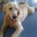 Profile Picture of Jack Ging (@Jack-Ging) on Facebook