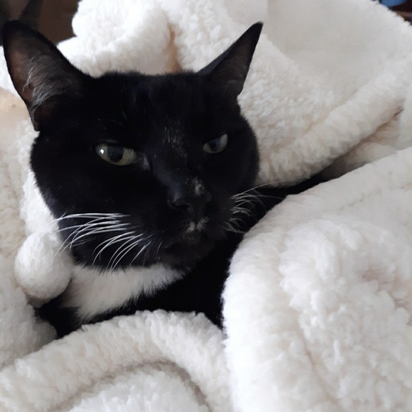 Profile Picture of Claire Thibodaux (@echoalex2) on Poshmark