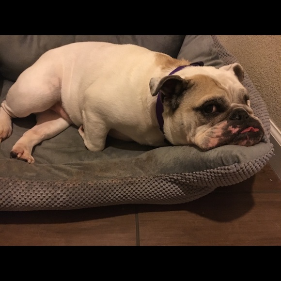 Profile Picture of Denise Broers (@dbroerd) on Poshmark