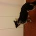 Profile Picture of Hilda Moskowitz (@hilda.moskowitz.7) on Facebook