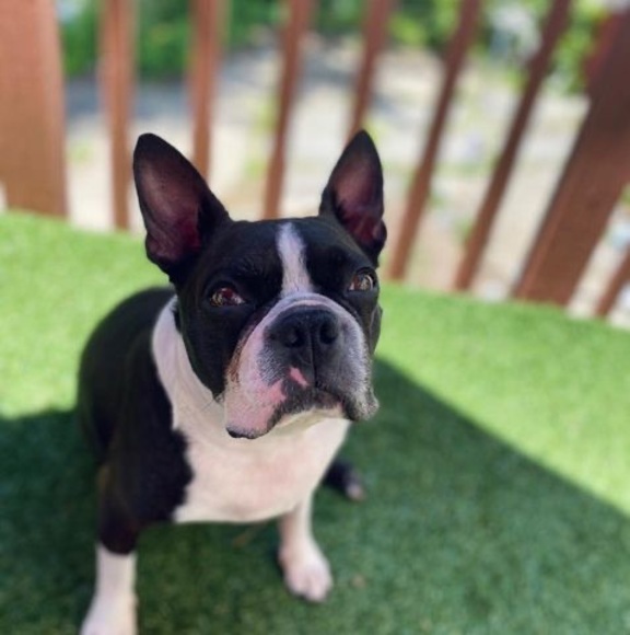 Profile Picture of Mario Ortiz (@orlandomario7) on Poshmark